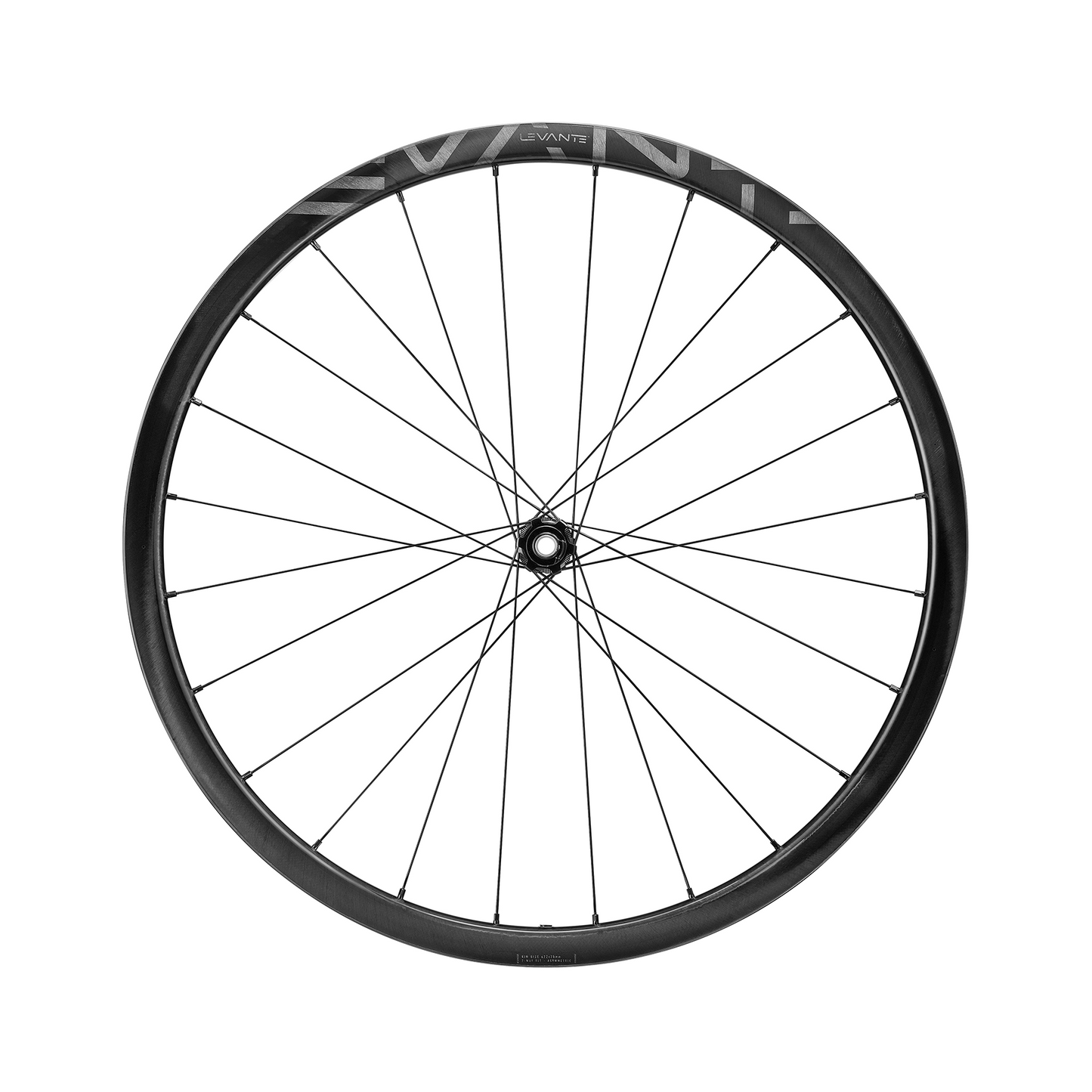 Campagnolo Levante DB C25 Disc 2-Way-Fit Laufradsatz 28"