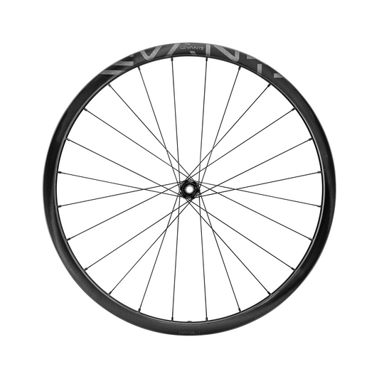 Campagnolo Levante DB C25 Disc 2-Way-Fit Laufradsatz 28"