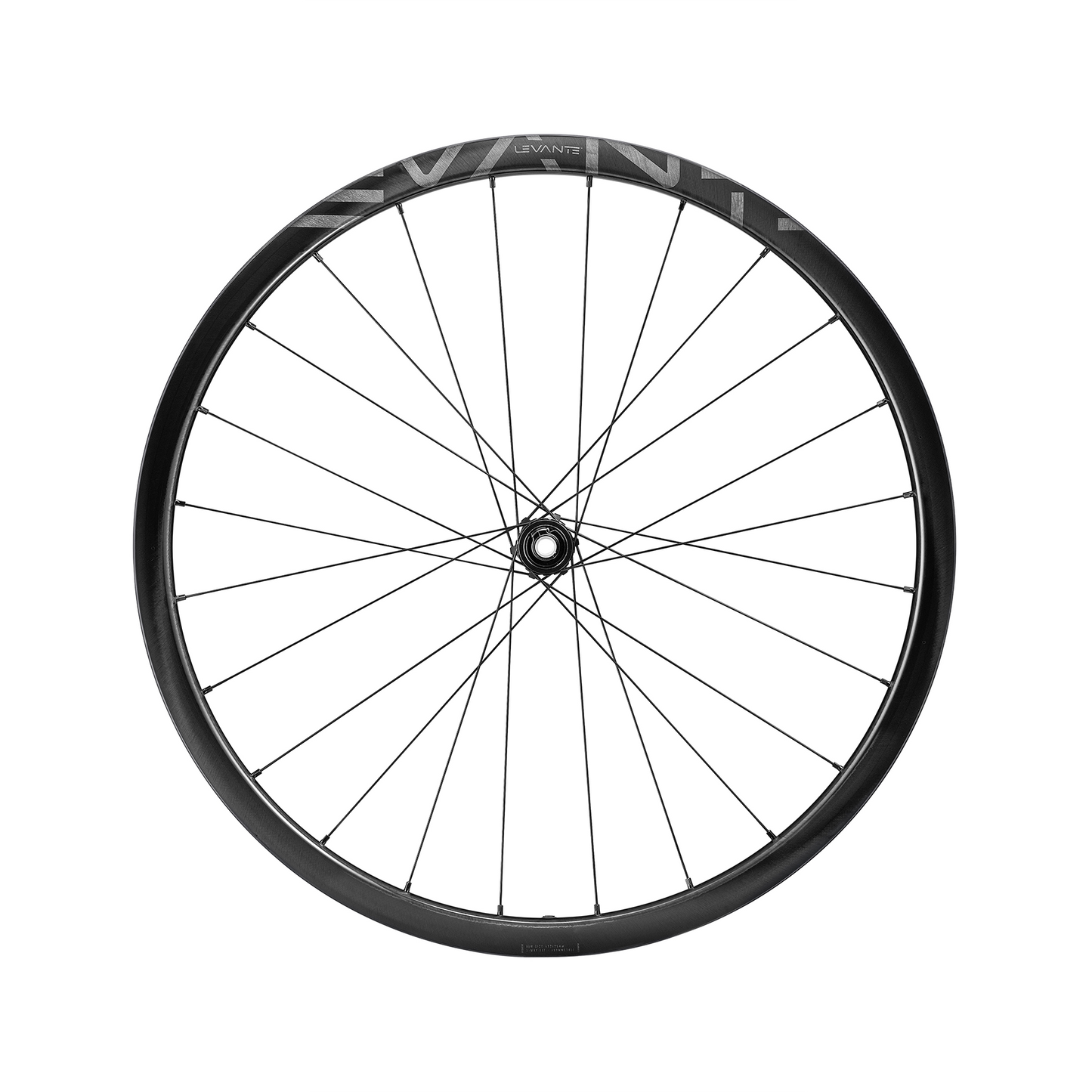 Campagnolo Levante DB C25 Disc 2-Way-Fit Laufradsatz 28"