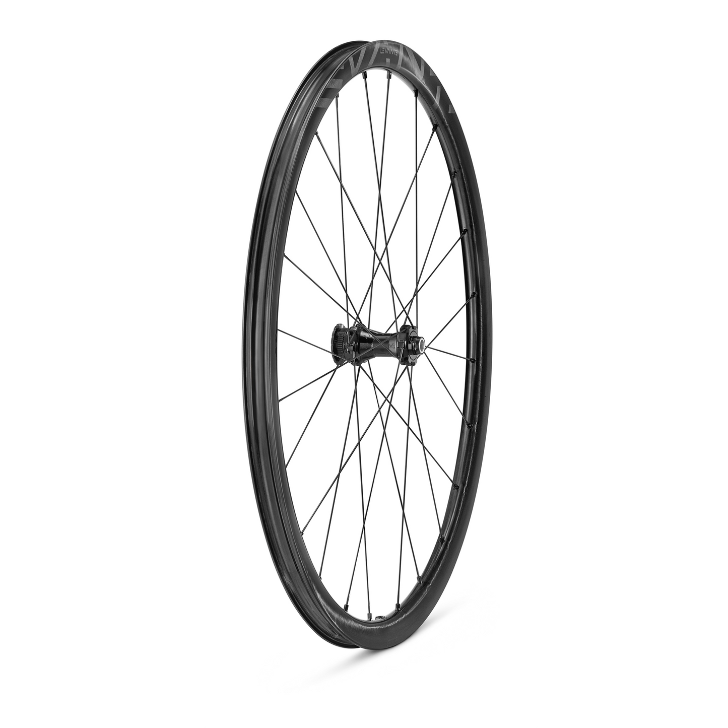 Campagnolo Levante DB C25 Disc 2-Way-Fit Laufradsatz 28"