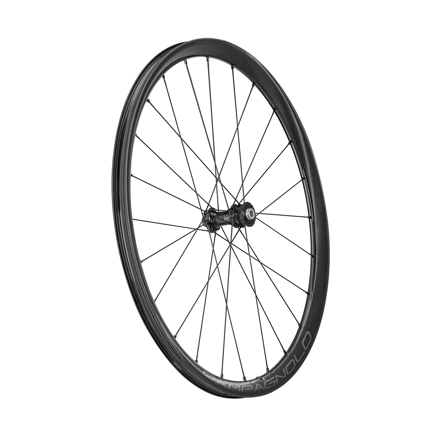 Campagnolo Levante DB C25 Disc 2-Way-Fit Laufradsatz 28"