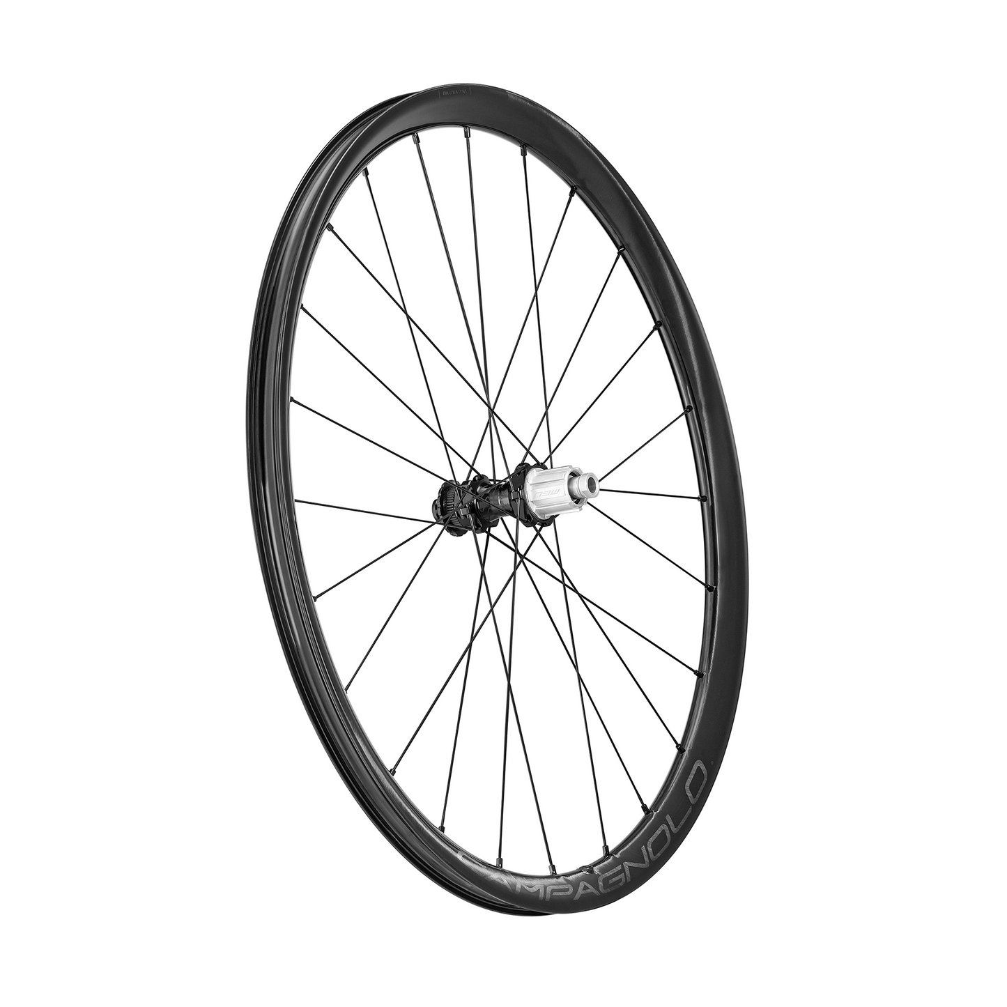 Campagnolo Levante DB C25 Disc 2-Way-Fit Laufradsatz 28"